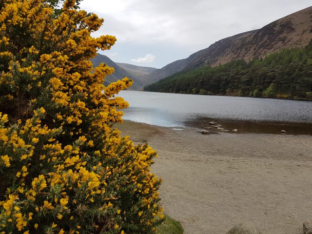 Glendalough