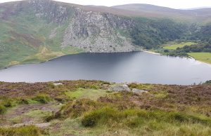 Wicklow kelias