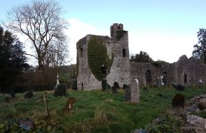 Šv. Oliver Plunkett dvaras ir parkas Loughcrew