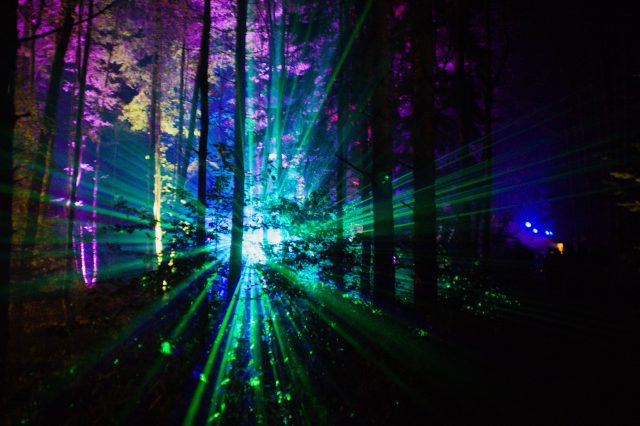 Forest