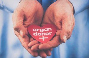 Nepaisant sudėtingų 2021 metų, Airijoje atlikta daugiau nei 200 organų transplantacijų