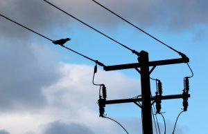 „Electric Ireland“ pakėlė kainas