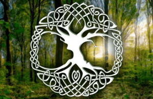 Kalėdų eglutė ir Snieguolė – keltų palikimas