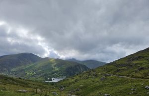Beara žiedas