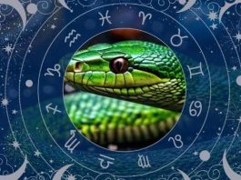 2025 metų horoskopas