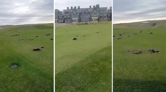 Doonbeg